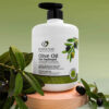 Olive Oil Hair Treatment